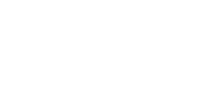 Ascension CFO Consulting Services